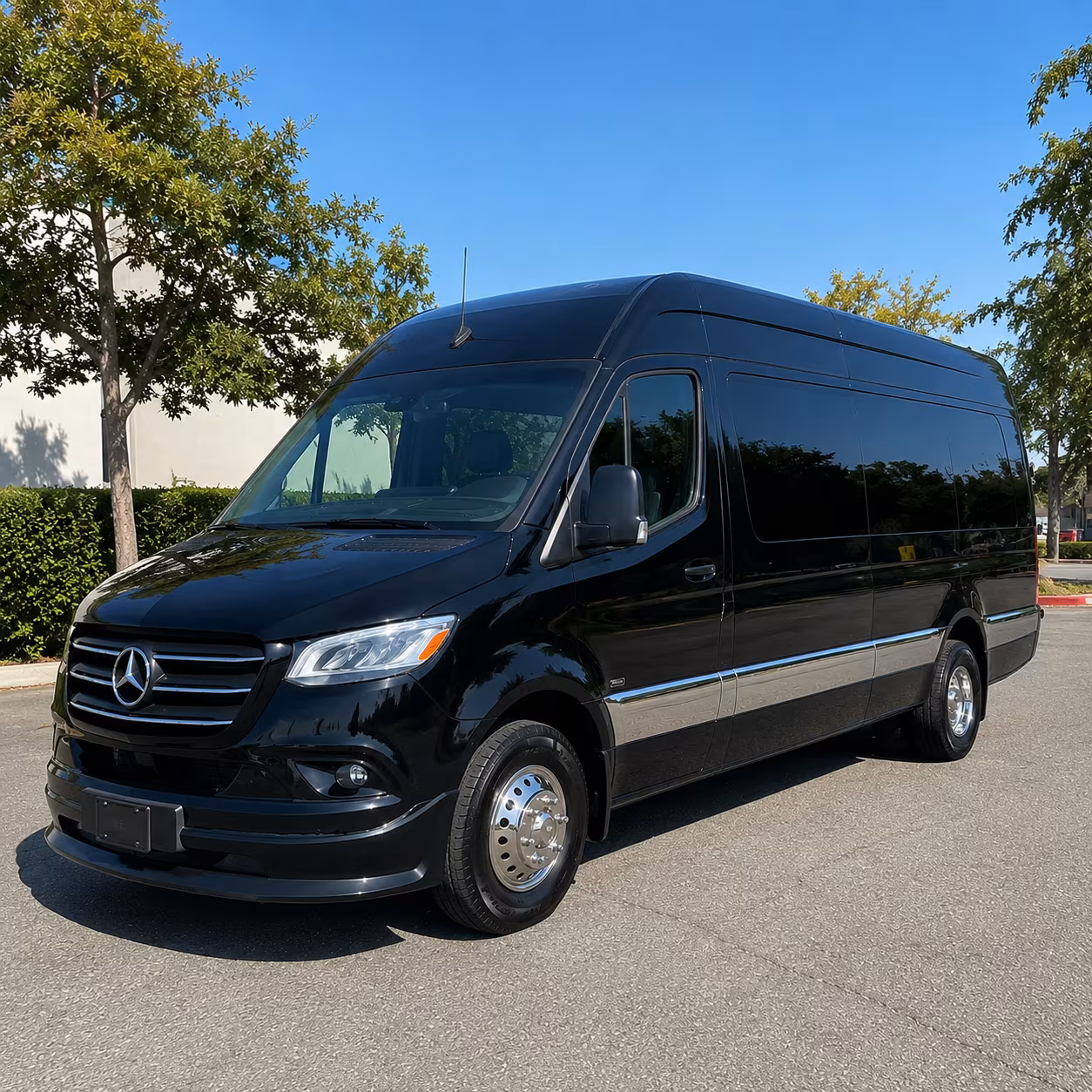 santa rosa sprinter van with driver